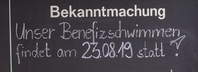 Benefizschwimmen im Greussener Freibad (Foto: privat) Benefizschwimmen im Greussener Freibad (Foto: privat)