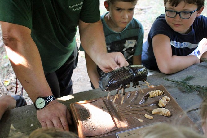 Lernen am anderen Ort (Foto: Karl-Heinz Herrmann)