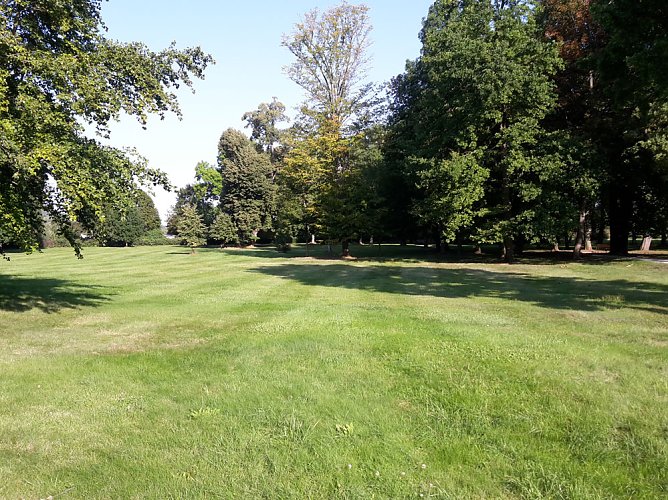 Wie mehr f&uuml;r, Insekten und Umwelt tun? (Foto: Karl-Heinz Herrmann)