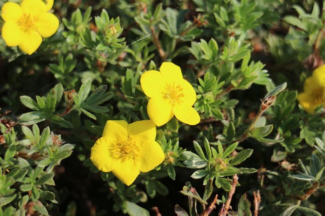 Wetterbild (Foto: Angelo Glashagel)