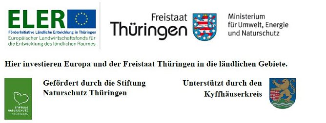 Wanderung informierte über die neuesten Entwicklungen (Foto: Robin Kendon / IPU) Wanderung informierte über die neuesten Entwicklungen (Foto: Robin Kendon / IPU)