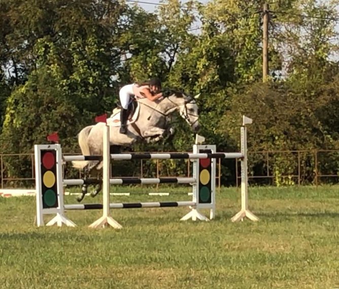 Dressur- uns Springturnier in Donndorf (Foto: Verein) Dressur- uns Springturnier in Donndorf (Foto: Verein)