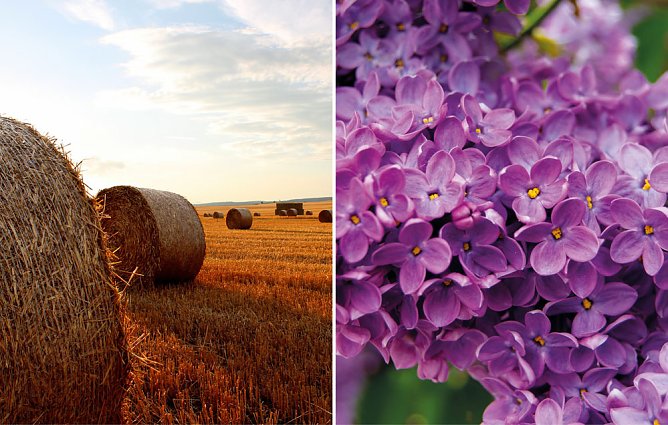 Die Gewinner stehen fest (Foto: Kur & Tourismus GmbH Bad Frankenhausen)
