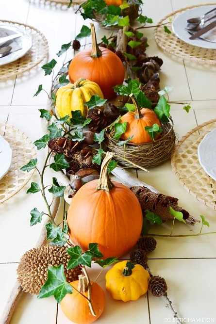 Wer hat Kürbisse übrig? (Foto: Freizeitzentrum Artern) Wer hat Kürbisse übrig? (Foto: Freizeitzentrum Artern)