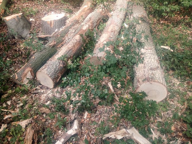 Wegearbeiten in der Windleite (Foto: privat)