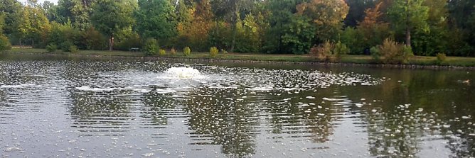 Bilanz zum Fischsterben (Foto: Karl-Heinz Herrmann) Bilanz zum Fischsterben (Foto: Karl-Heinz Herrmann)