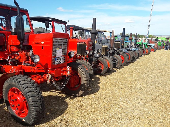 Von fliegenden Traktoren bis zur Lötlampe (Foto: Dr. Iris Martin-Gehl) Von fliegenden Traktoren bis zur Lötlampe (Foto: Dr. Iris Martin-Gehl)