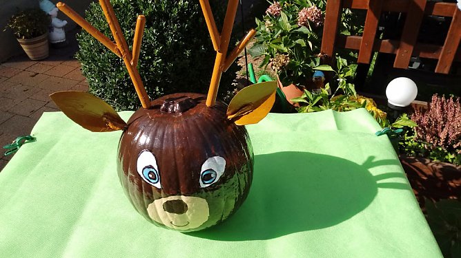 K&uuml;rbisse &uuml;ber K&uuml;rbisse (Foto: J&uuml;rgen M&uuml;ller)