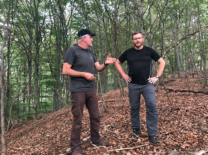 Neue Mountainbike-Strecke entsteht im Possenwald (Foto: Thomas Zelmer) Neue Mountainbike-Strecke entsteht im Possenwald (Foto: Thomas Zelmer)