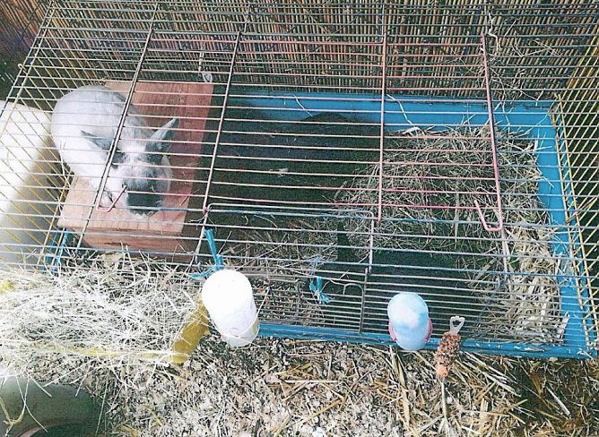 Wer erkennt die Taschen? (Foto: Polizei) Wer erkennt die Taschen? (Foto: Polizei)