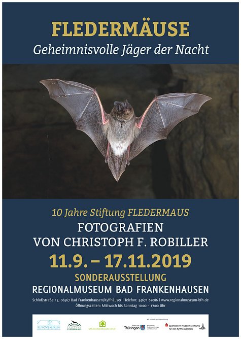Flederm&auml;use Geheimnisvolle J&auml;ger der Nacht (Foto: Regionalmuseum Bad Frankenhausen)