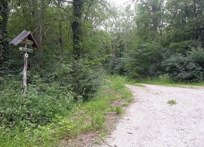 Waldwildnis bremst Tourismus aus? (Foto: Karl-Heinz Herrmann) Waldwildnis bremst Tourismus aus? (Foto: Karl-Heinz Herrmann)