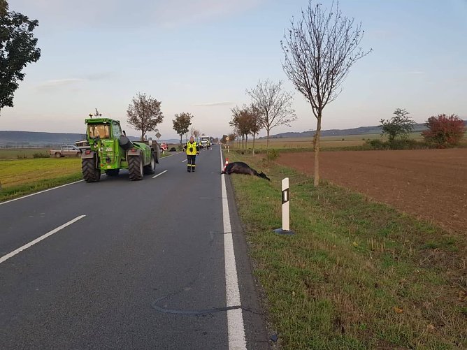 Unfall (Foto: FFW Bad Frankenhausen)