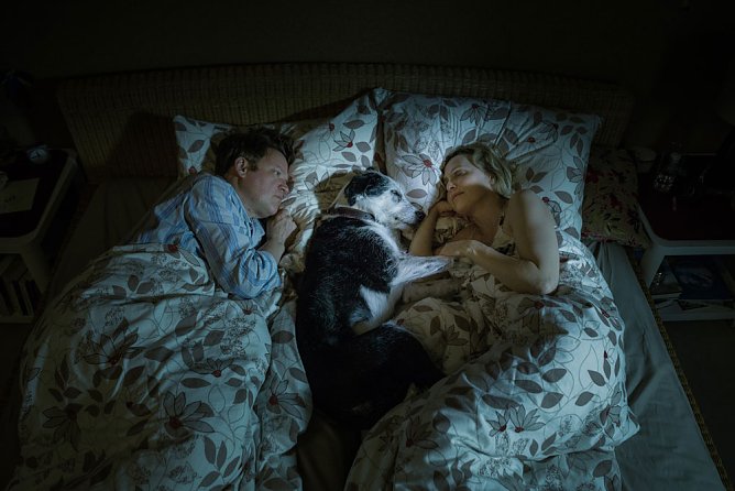 Der Hund begraben (Foto: Movienet) Der Hund begraben (Foto: Movienet)