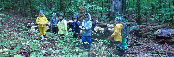 Aktuelles aus der Natura2000- Station Possen e.V. (Foto: Nicol Pfefferlein)