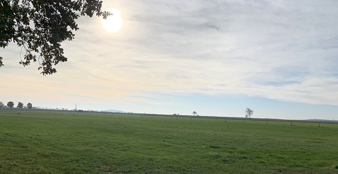 wetter (Foto: oas) wetter (Foto: oas)