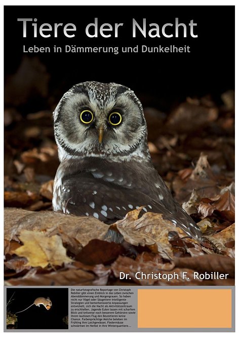 Tiere der Nacht (Foto: Regionalmuseum Bad Frankenhausen) Tiere der Nacht (Foto: Regionalmuseum Bad Frankenhausen)