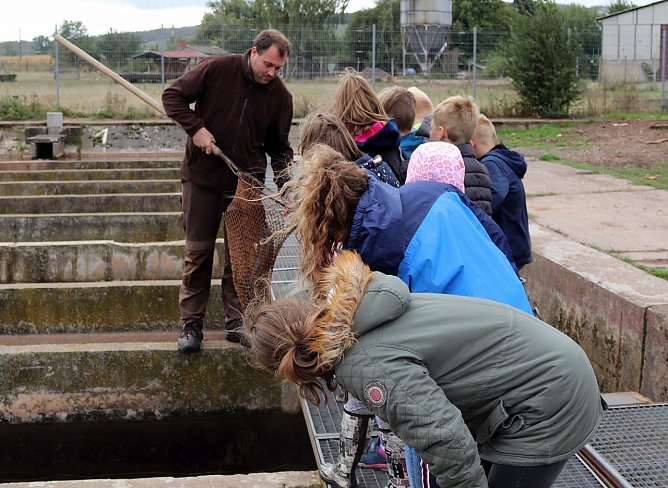 Projekttage bei der Fischzucht Auleben (Foto: Silke Schulze) Projekttage bei der Fischzucht Auleben (Foto: Silke Schulze)