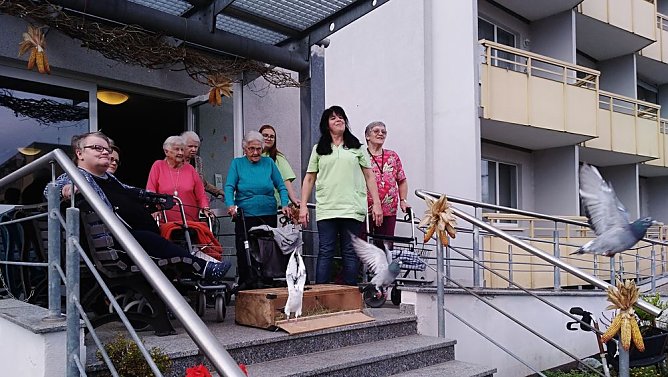 Tierischer Besuch in der Tagespflege (Foto: Yvonne Kraft) Tierischer Besuch in der Tagespflege (Foto: Yvonne Kraft)