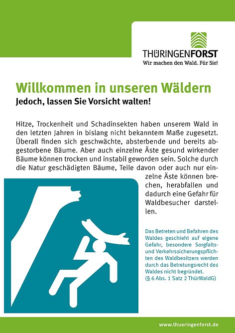 Waldbetretung in Zeiten enormer Forstschäden (Foto: ThüringenForst) Waldbetretung in Zeiten enormer Forstschäden (Foto: ThüringenForst)