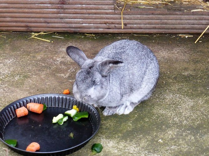 Der Possen- sch&ouml;n zu jeder Jahreszeit (Foto: Dorothea Kieper)