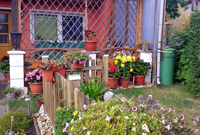 Das Gartenjahr 2019 geht zu Ende� (Foto: Norbert Rittweger)