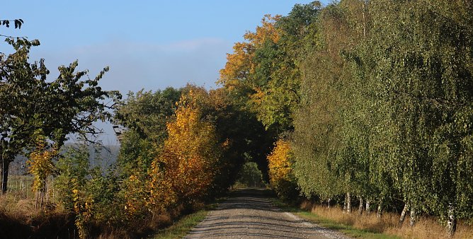 wetter (Foto: AGH) wetter (Foto: AGH)