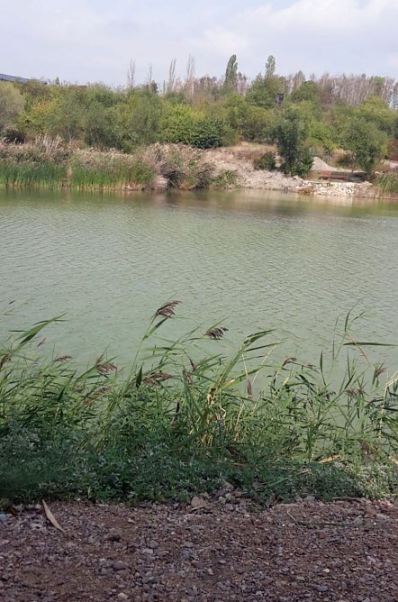 Der Wasserstand steigt (Foto: Steffen Kambach)