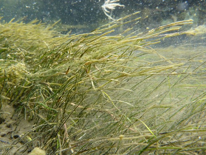 Bauma&szlig;nahmen am Solgraben in Artern sind gestartet (Foto: LPV)