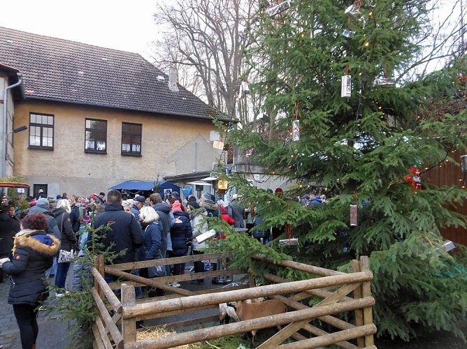 Weihnachtsmarkt in Udersleben (Foto: Heimatverein) Weihnachtsmarkt in Udersleben (Foto: Heimatverein)