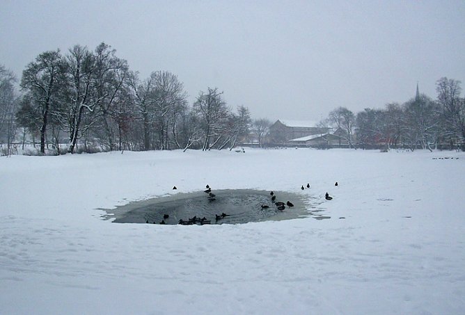 Parksee Schlosspark Sondershausen (Foto: Karl-Heinz Herrmann)