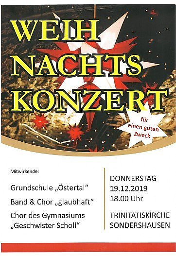 Scholl-Sch&uuml;ler singen f&uuml;r guten Zweck (Foto: privat)