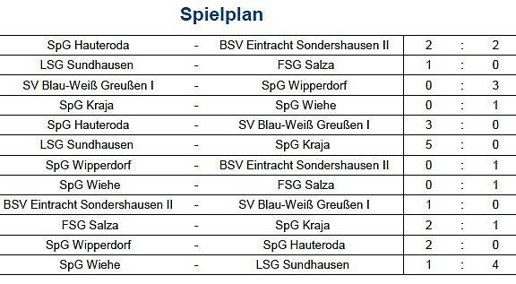 Hallenkreismeisterschaften der<b> C- und D- Junioren</b> statt und hier gibt es die Ergebnisse mit Bildergalerie bei der C-Jugend... (Foto: NTKFA)