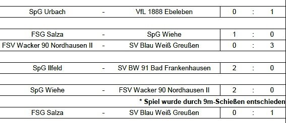 Endstand Kreismeisterschaft im Hallenfu&szlig;ball der Junioren (4) (Foto: NTKFA)