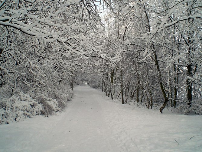 Winter in Artern (Foto: Klaus Henze)