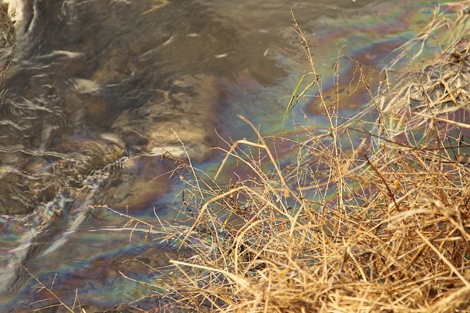 Weihnachtsessen fiel aus (Foto: Silvio Dietzel) Weihnachtsessen fiel aus (Foto: Silvio Dietzel)