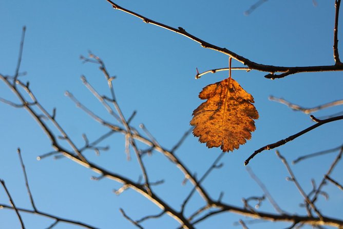 Wetterbild (Foto: Angelo Glashagel)