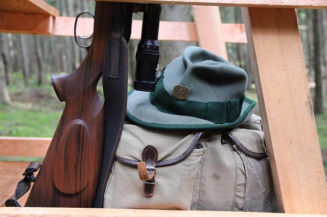 ThüringenForst beendete saisonale Gesellschaftsjagden (Foto: ThüringenForst) ThüringenForst beendete saisonale Gesellschaftsjagden (Foto: ThüringenForst)