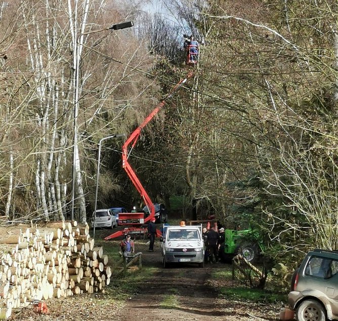 F&auml;llarbeiten im Obertopfstedter W&auml;ldchen so gut wie abgeschlossen (Foto: R. K&auml;mmerer)