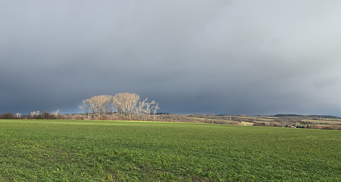 Wetterbild (Foto: Olaf Schulze) Wetterbild (Foto: Olaf Schulze)