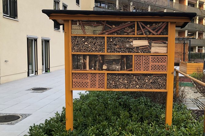 Insektenhotel gebaut (Foto: AWO-Seniorenresedenz)