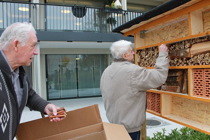Insektenhotel gebaut (Foto: AWO-Seniorenresedenz)