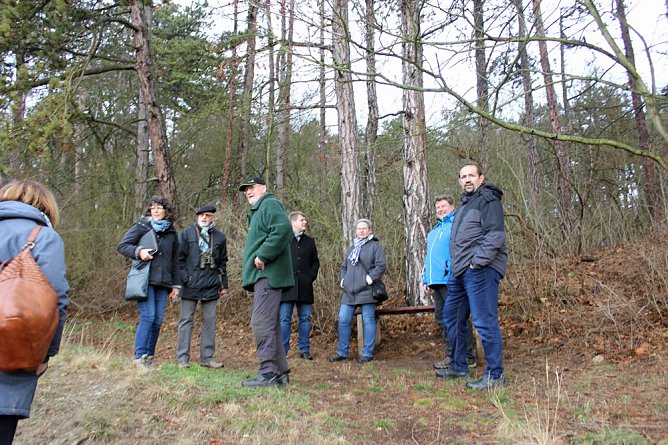 Ist das Knopfmacherh&ouml;lzchen zu retten?... (Foto: Marion Haas)