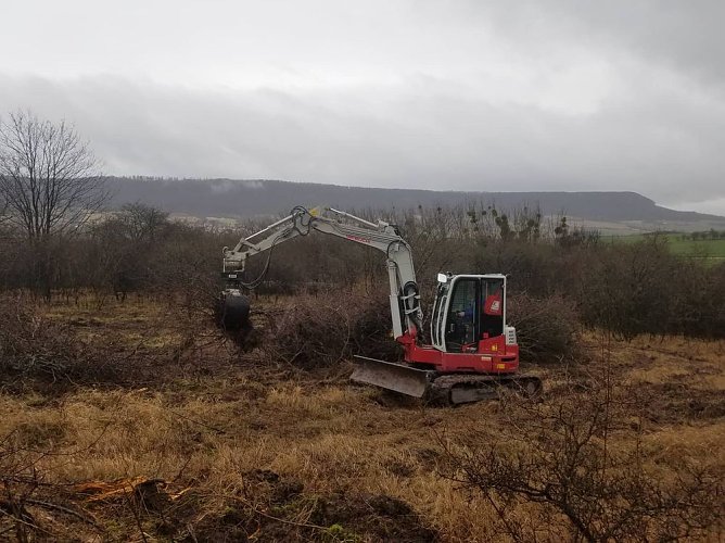 Natura 2000-Station erh&auml;lt wertvolle Lebensr&auml;ume (Foto: Natura 2000-Station S&uuml;dharz/Kyffh&auml;user)