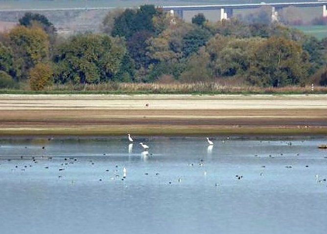 Talsperre Kelbra soll jetzt Fischfrei werden (Foto: Archivfoto kn)