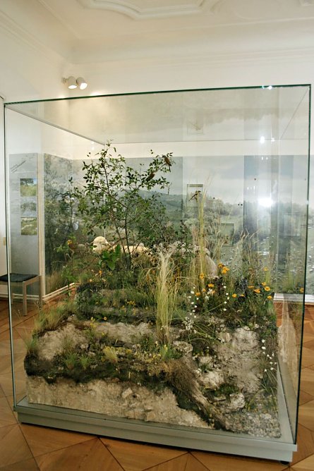 Ausstellung endet! (Foto: Regionalmuseum Bad Frankenhausen)