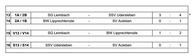 SV National Auleben Hallenkreismeister (Foto: NTKFA)