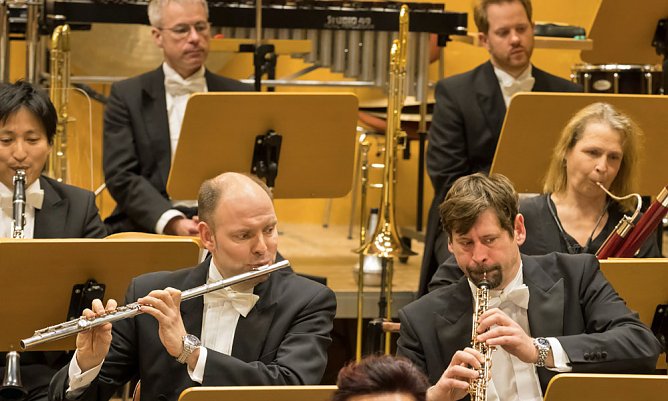 Musiker des Loh-Orchesters hautnah im 3. Kammerkonzert (Foto: Tilman Graner)