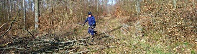 Neues vom 30. Possenlauf 2020 (Foto: SV Gl&uuml;ckauf Sondershausen)