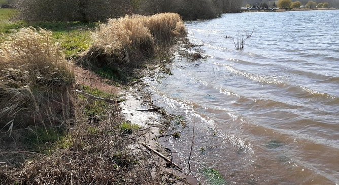 Stausee Kelbra (Foto: F.Gabriel) Stausee Kelbra (Foto: F.Gabriel)